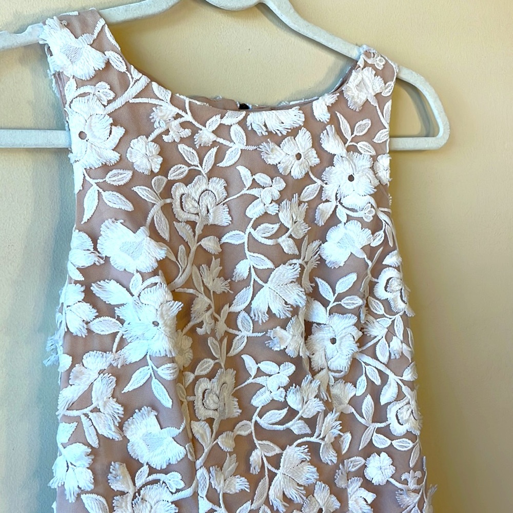 Aidan Maddox White Nude Sleeveless Chiffon Lace Dress Size 0 Retail $220 - Picture 6 of 12